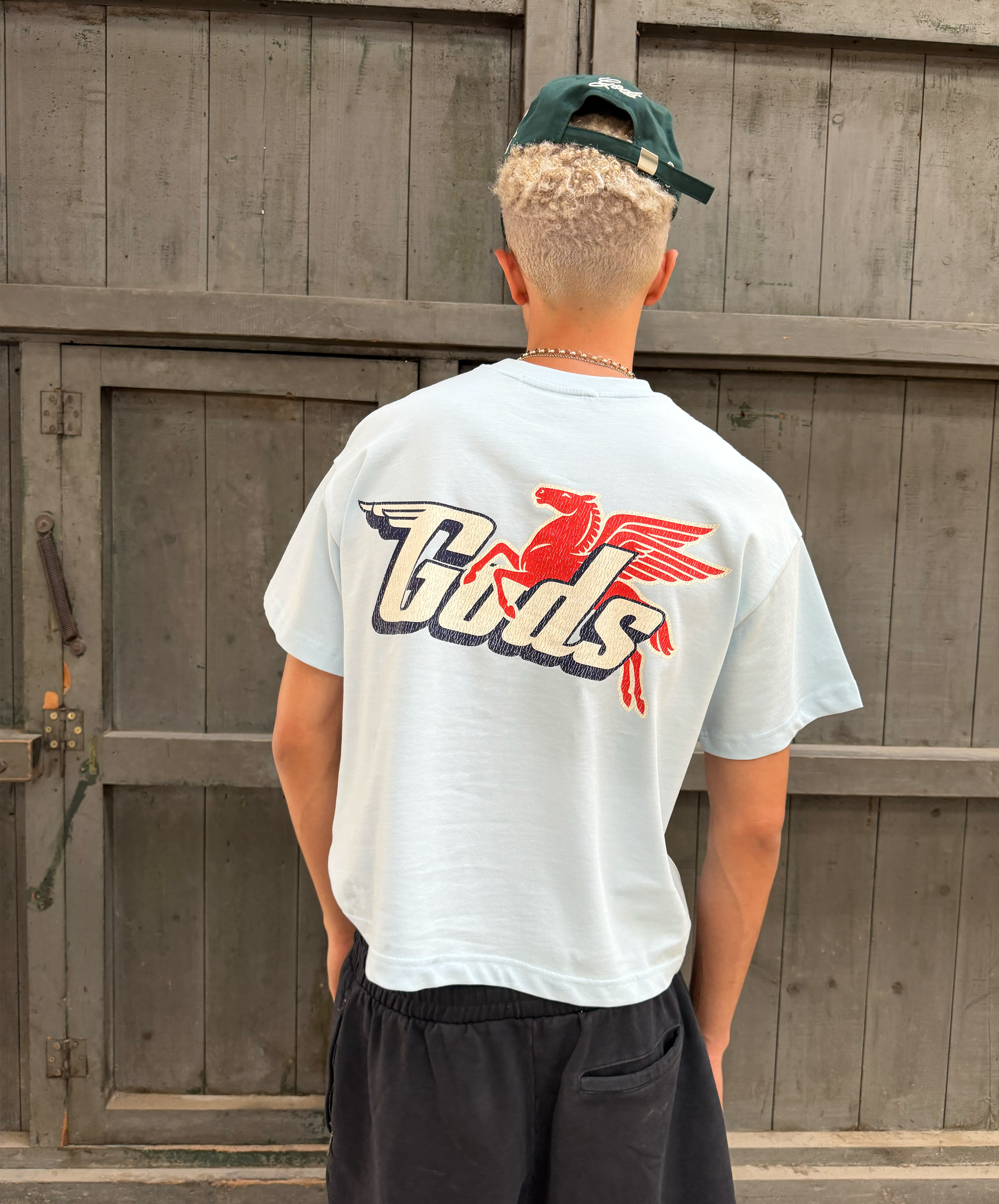 Pegasus Tee Light Blue