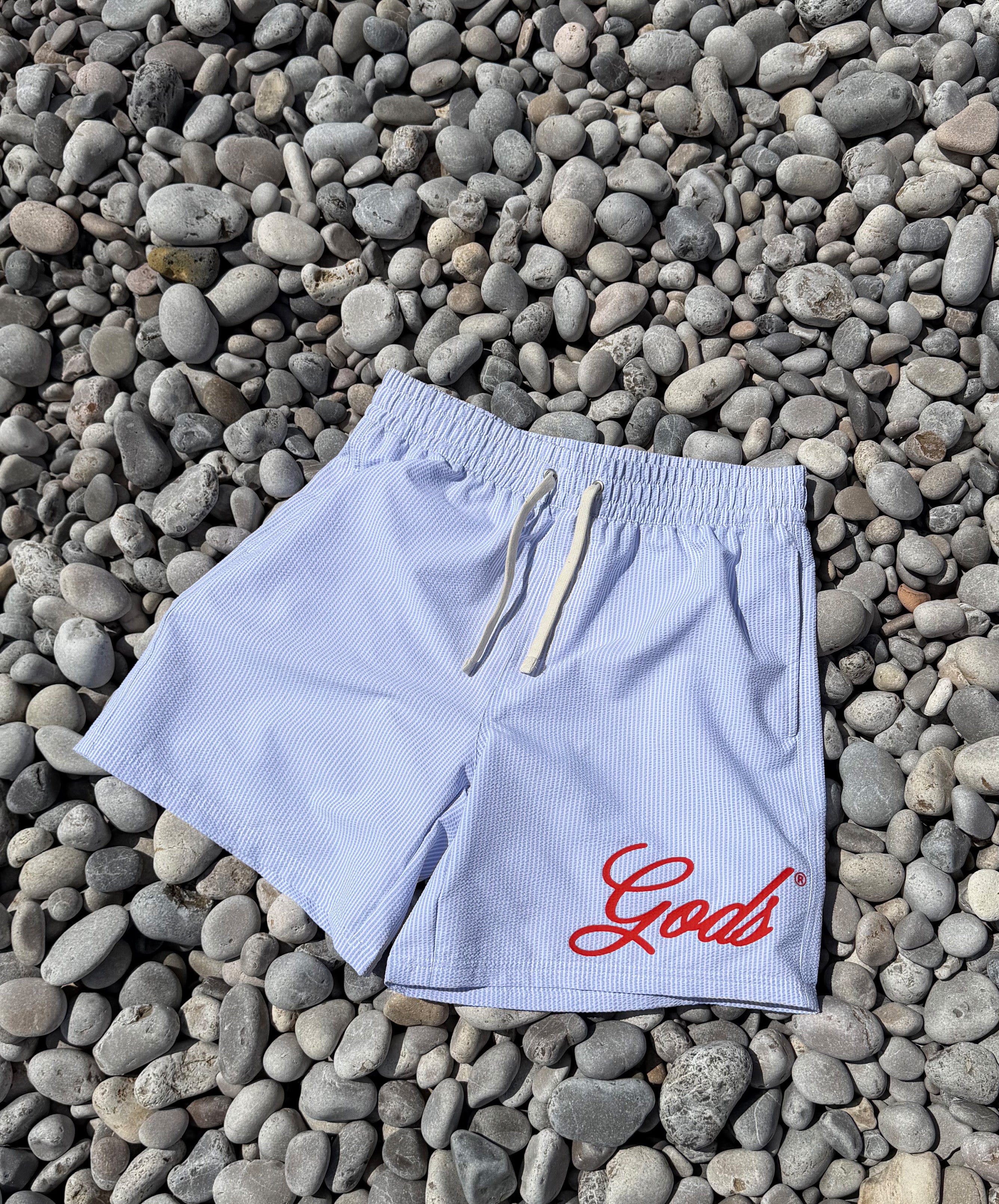 God's Swimsuit Stripped Blue