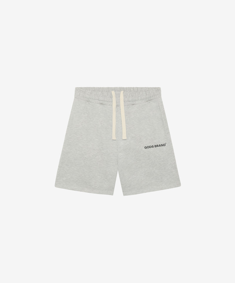Perfomance Shorts Grey