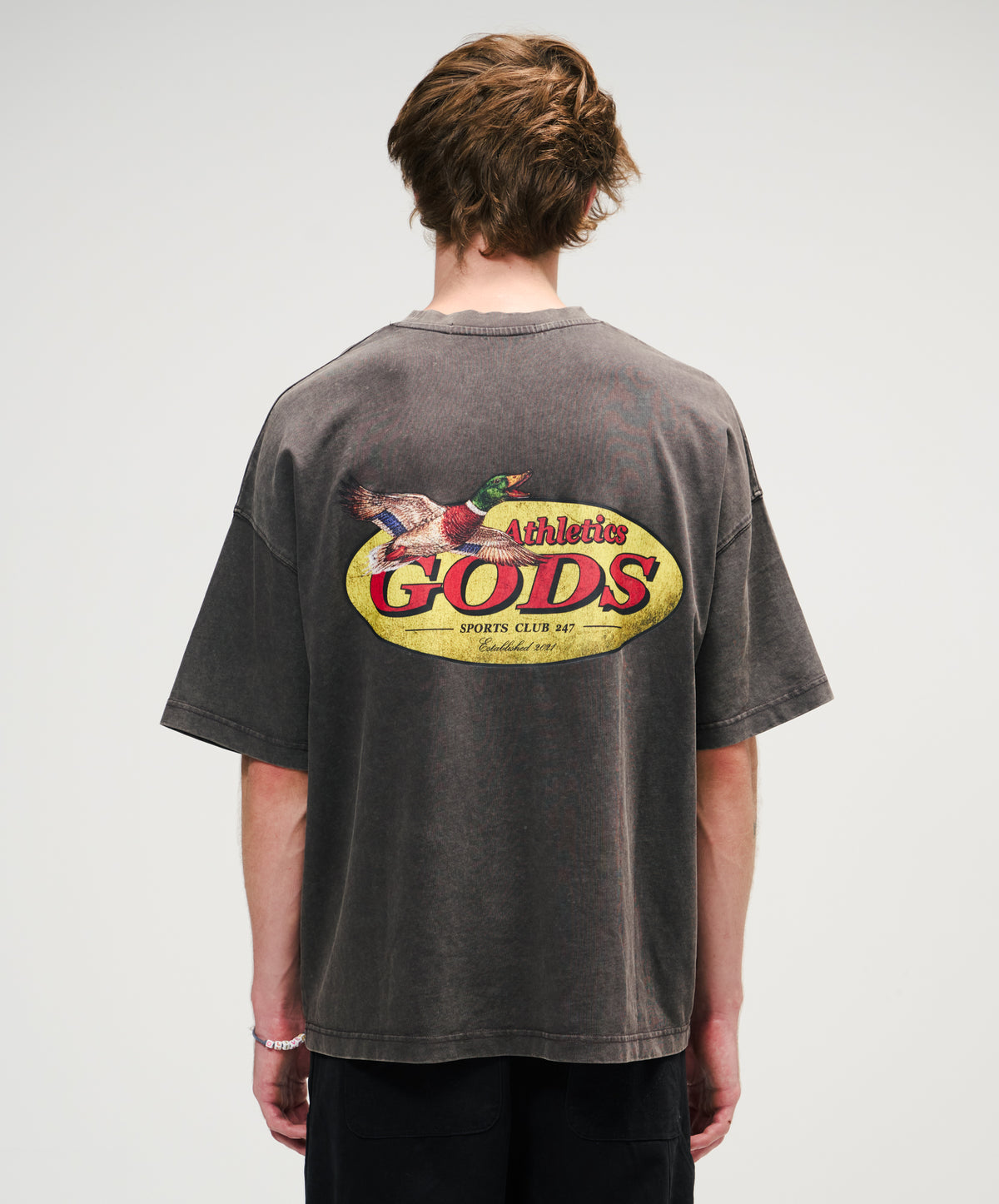 Ducks Washed Tee Brown