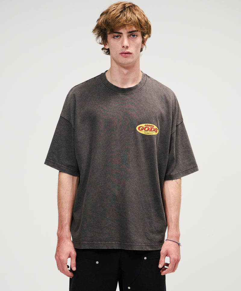 Ducks Washed Tee Brown