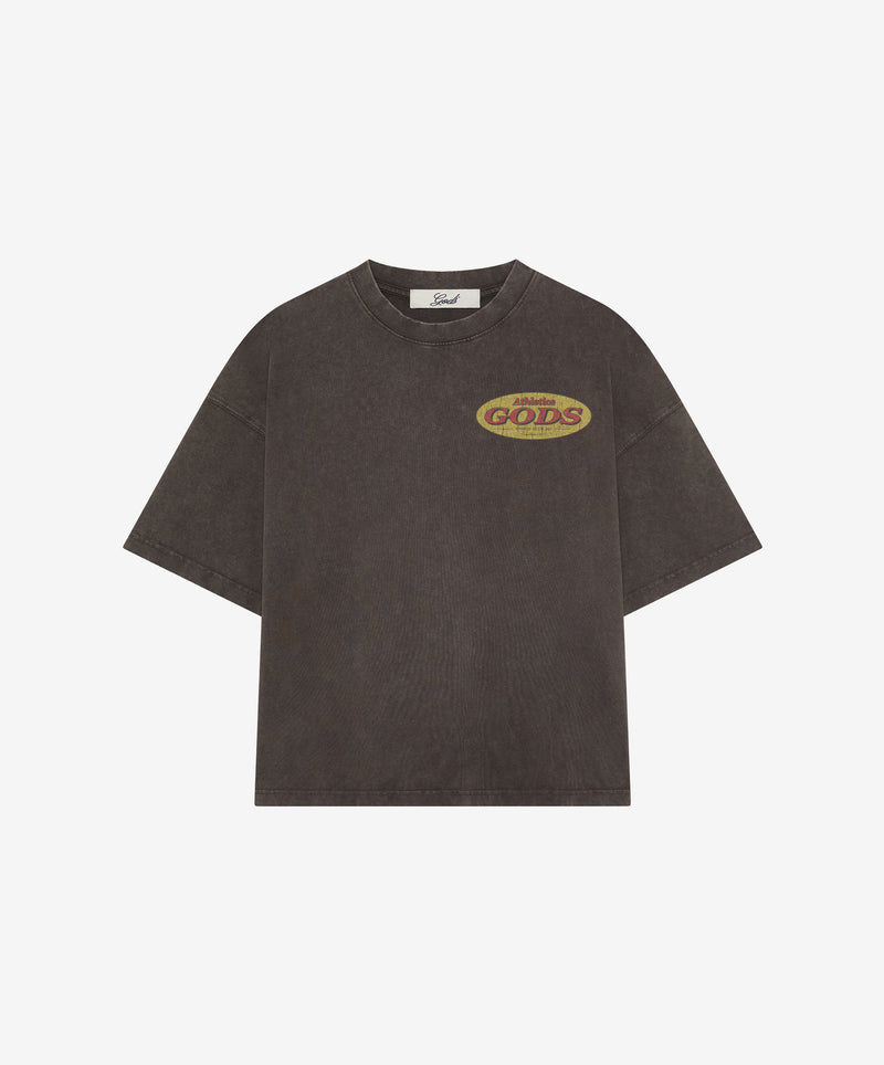 Ducks Washed Tee Brown