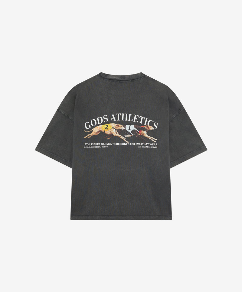 Galgo Tee Anthra