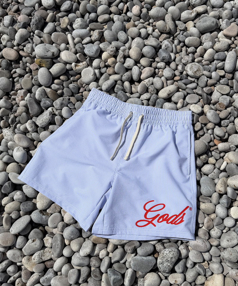 God's Swimsuit Stripped Blue