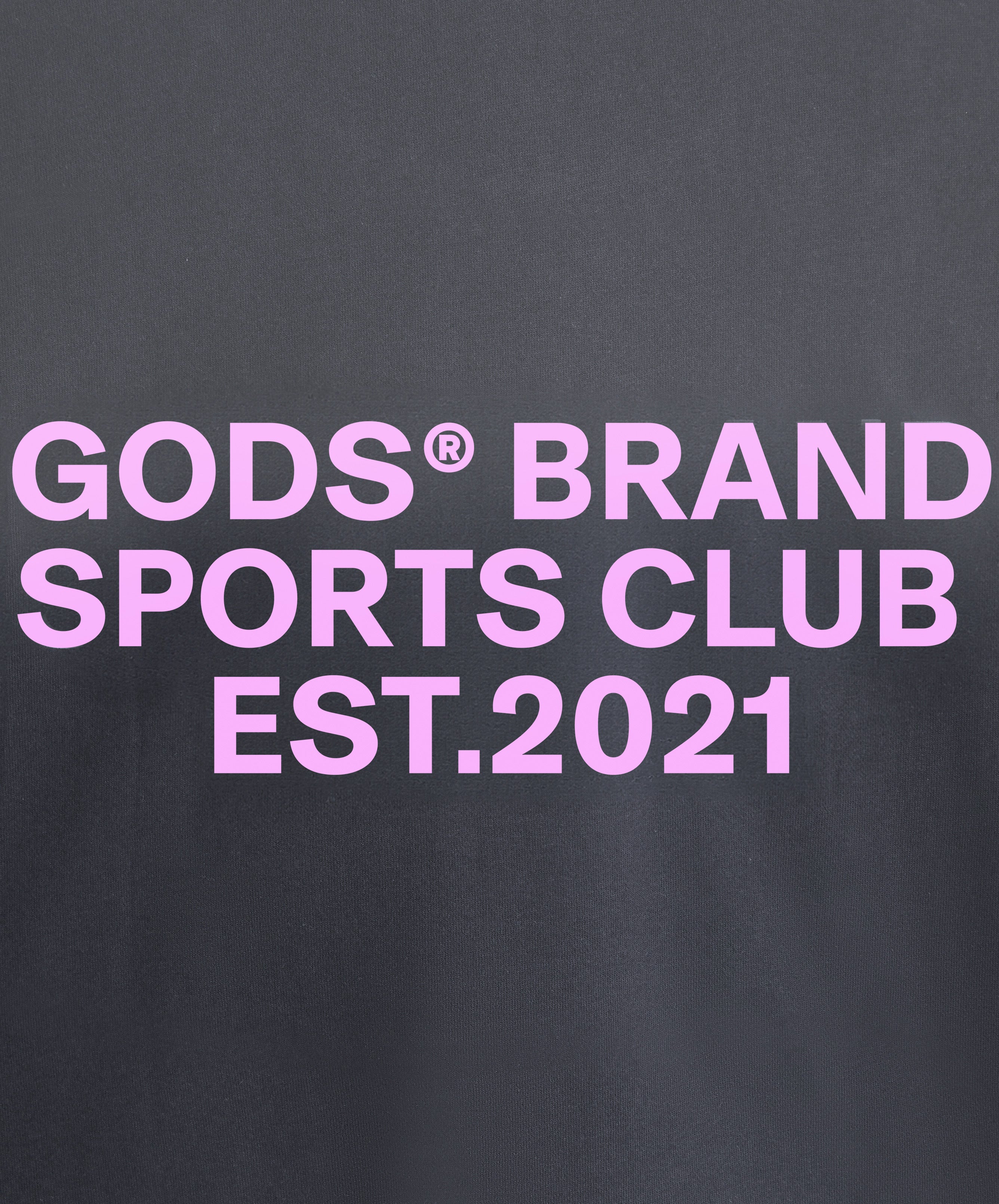 Gods® Brand Sports Club Hoodie Grey