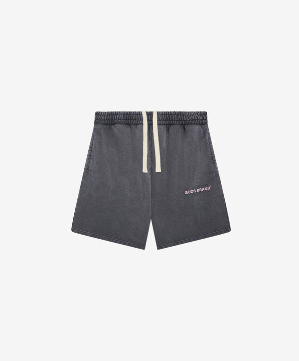 Performance Shorts Grey