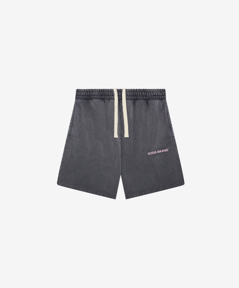 Performance Shorts Grey