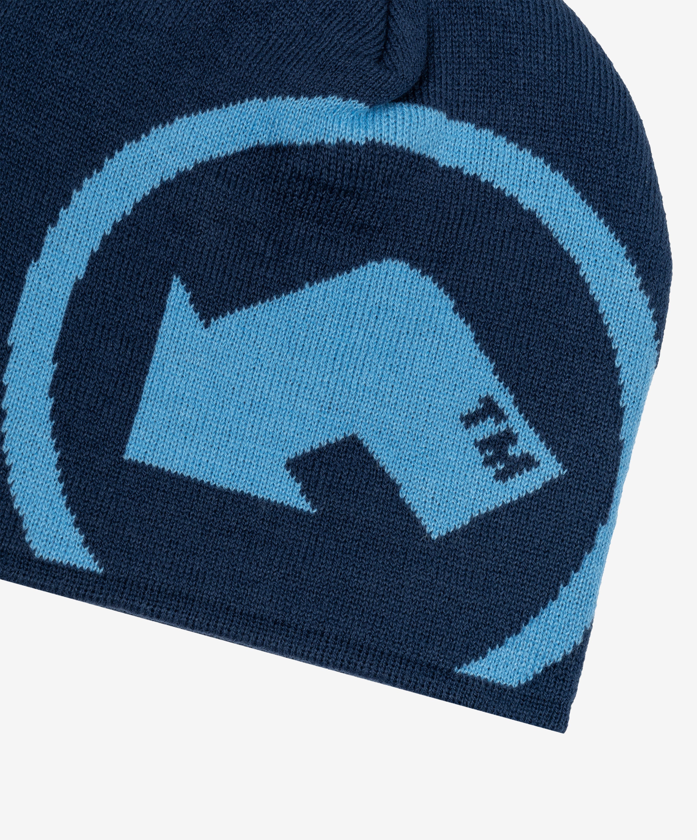 Tm Beanie Blue