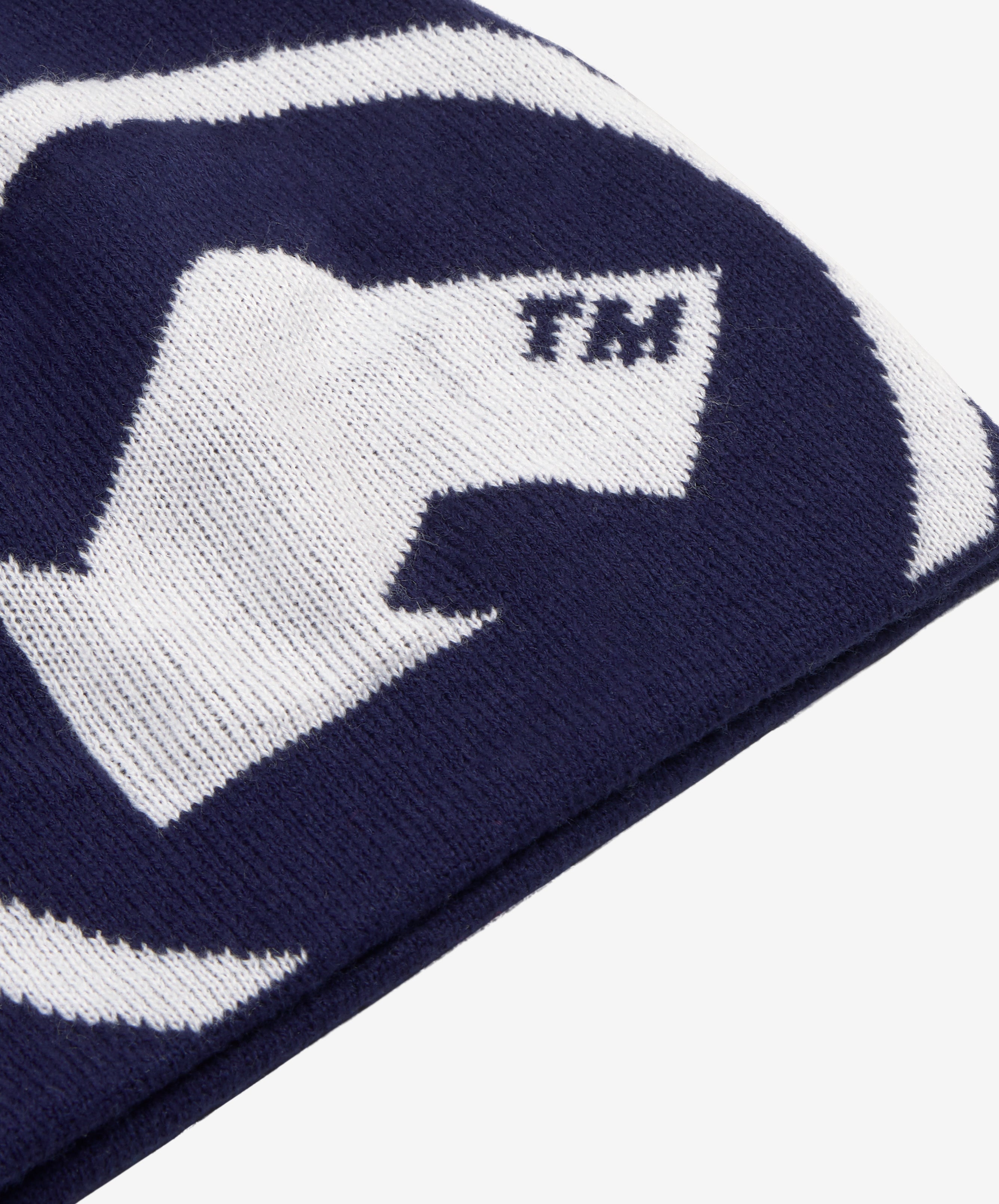 Tm Beanie Navy