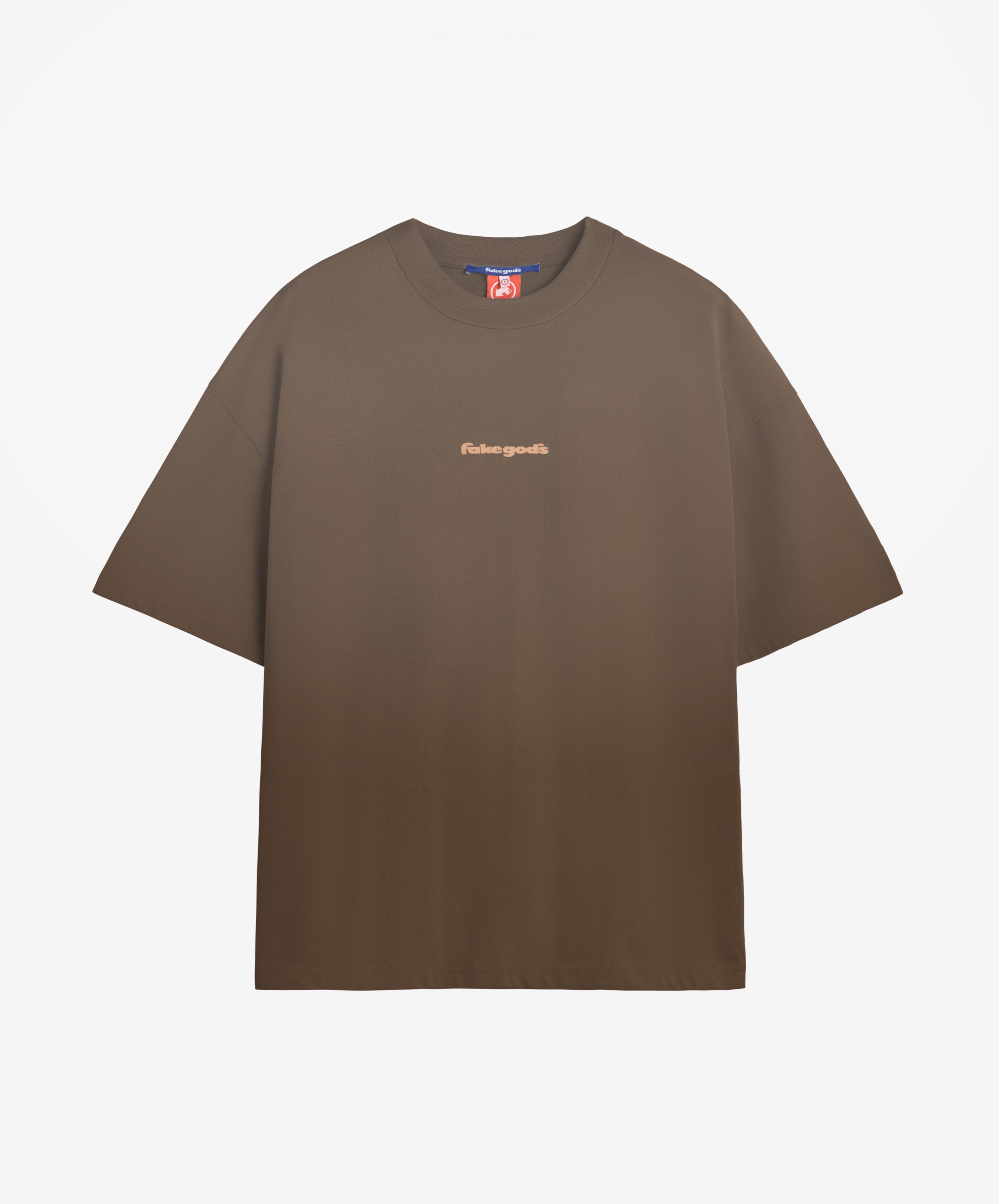 Sports School Usa Boxy Tee Brown