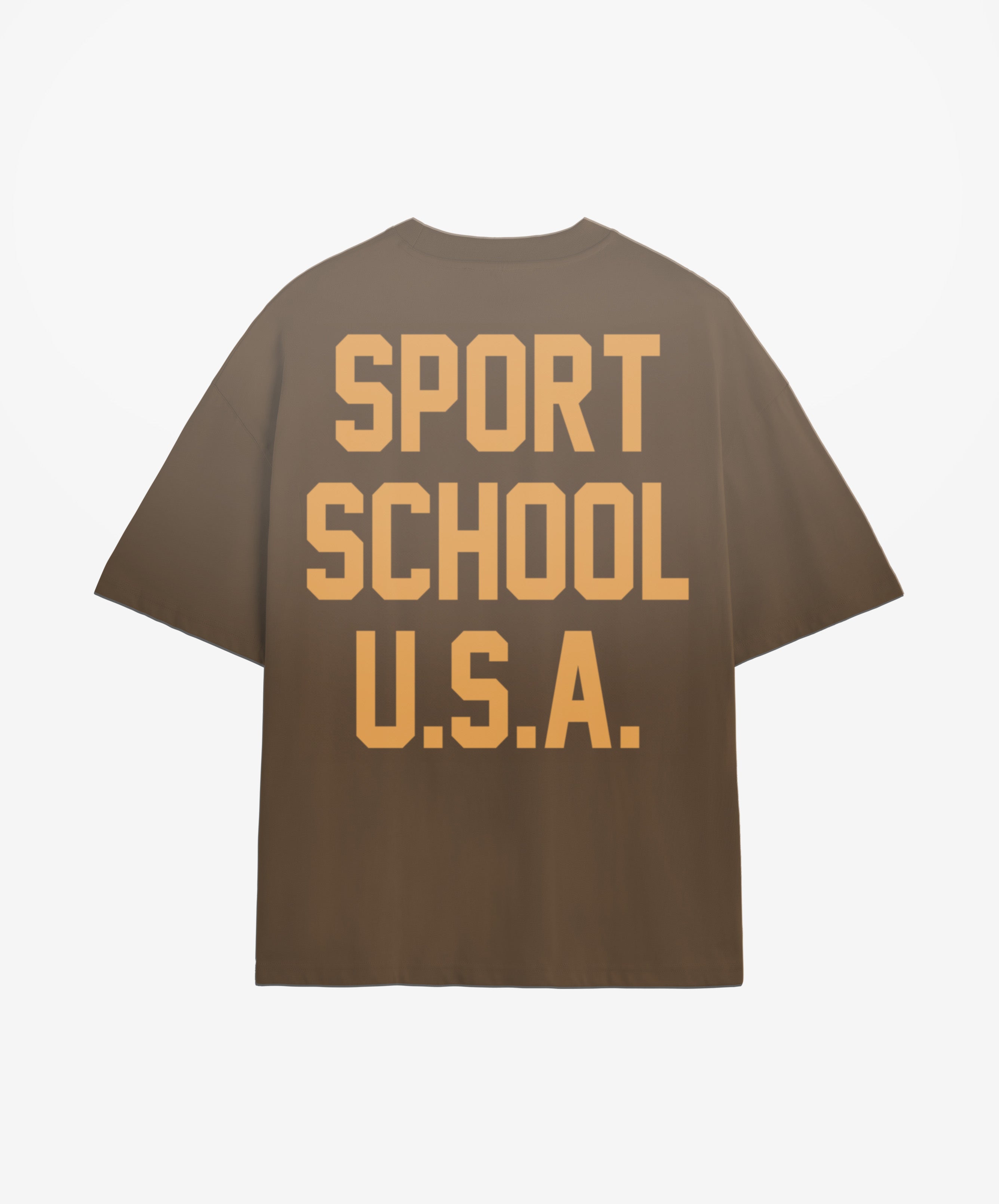 Sports School Usa Boxy Tee Brown