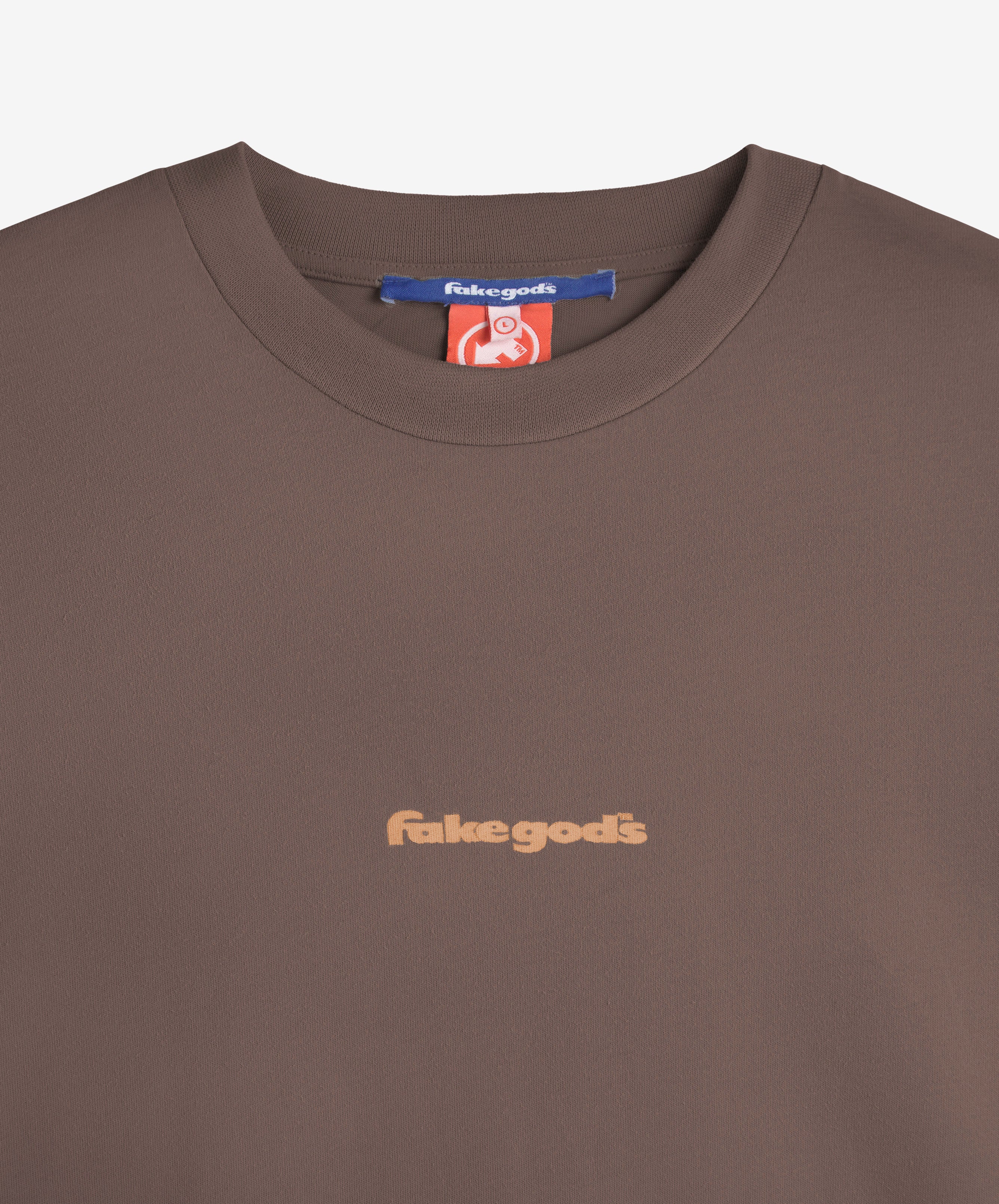 Sports School Usa Boxy Tee Brown