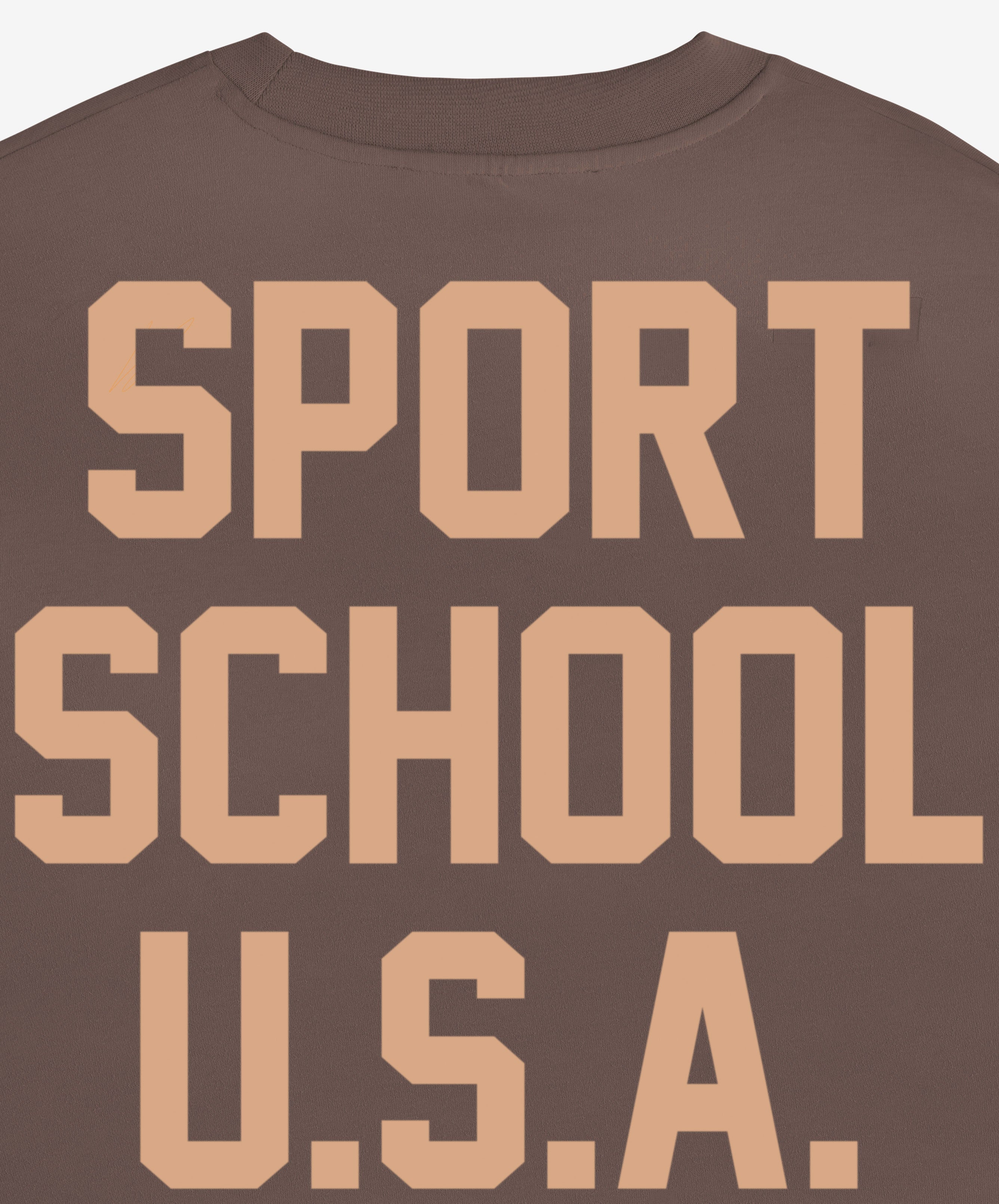 Sports School Usa Boxy Tee Brown