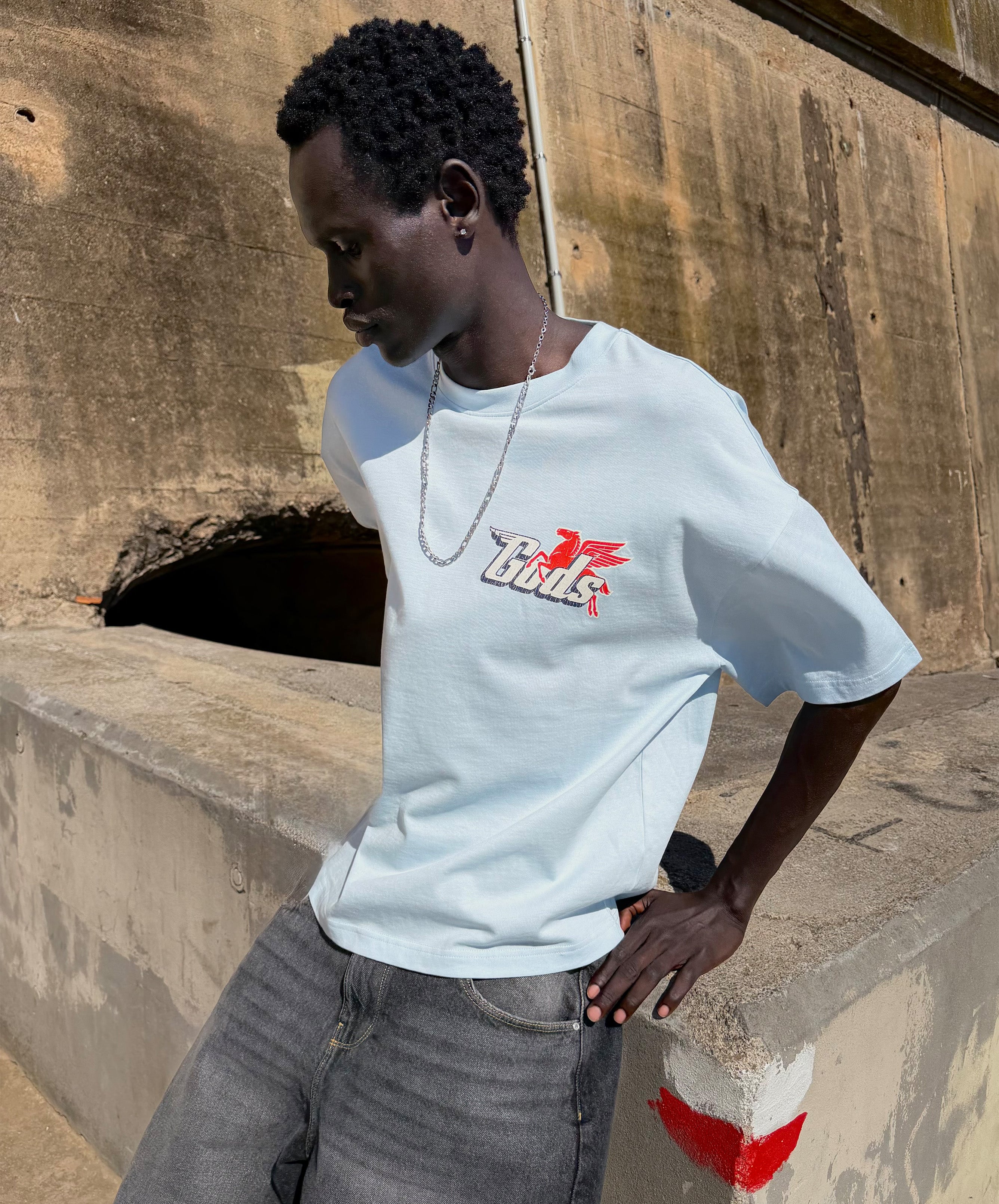 Pegasus Tee Light Blue