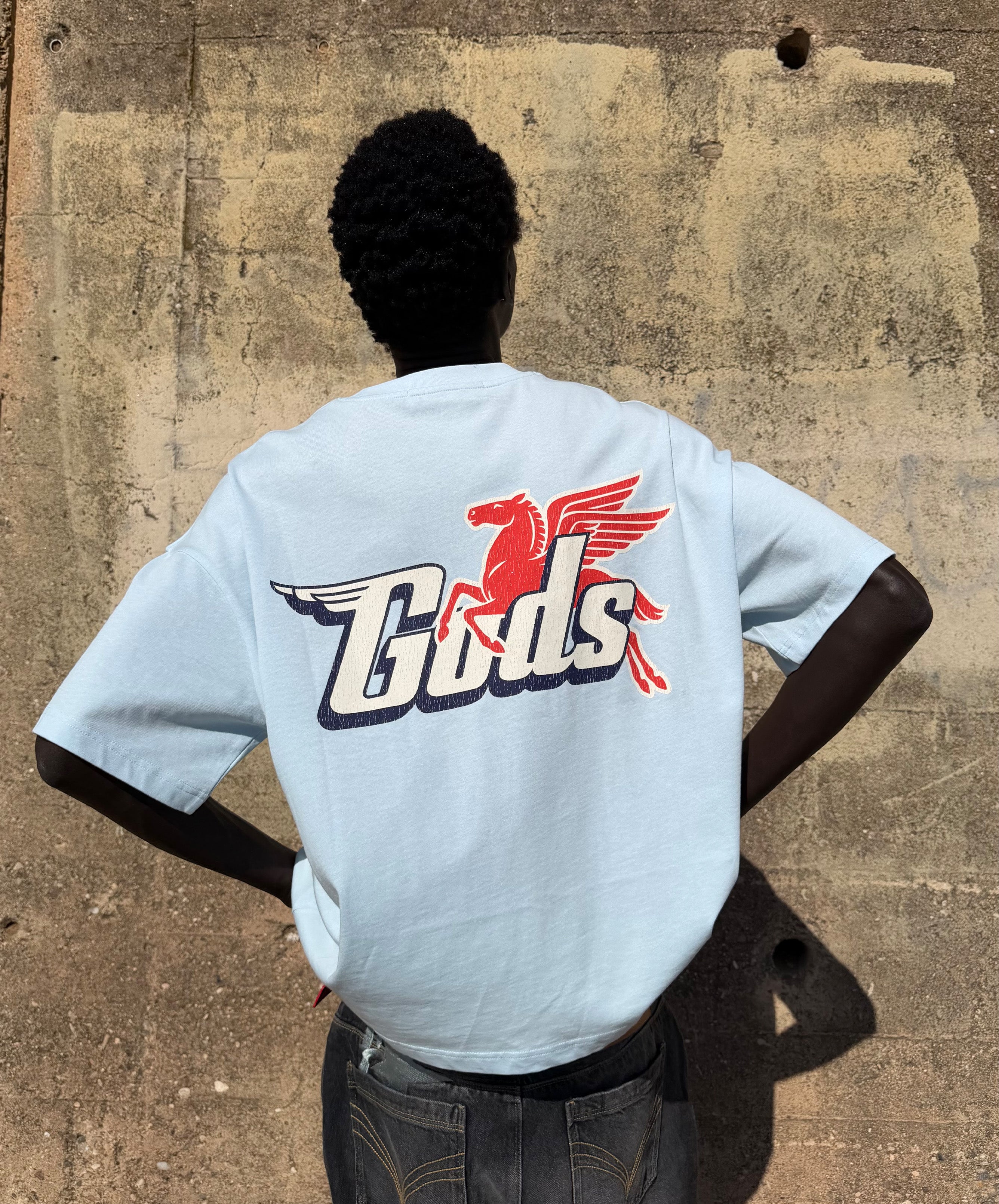 Pegasus Tee Light Blue